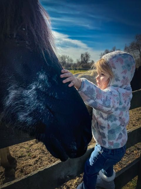 Making Friends at Riding High Farm